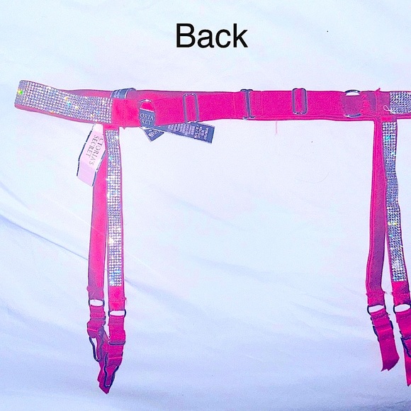 Victoria Secret Shine Strap garter belt -Size M/L - Picture 2 of 5